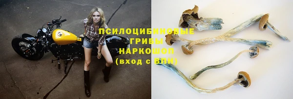 мяу мяу мука Беломорск